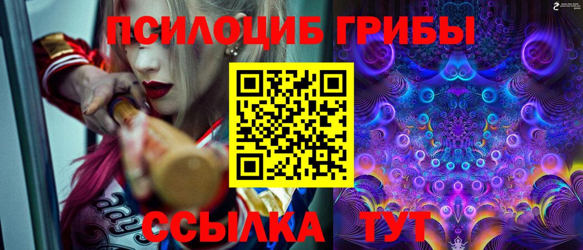 Аксай  Галлюциногенные грибы ЛСД  Вход с VPN 